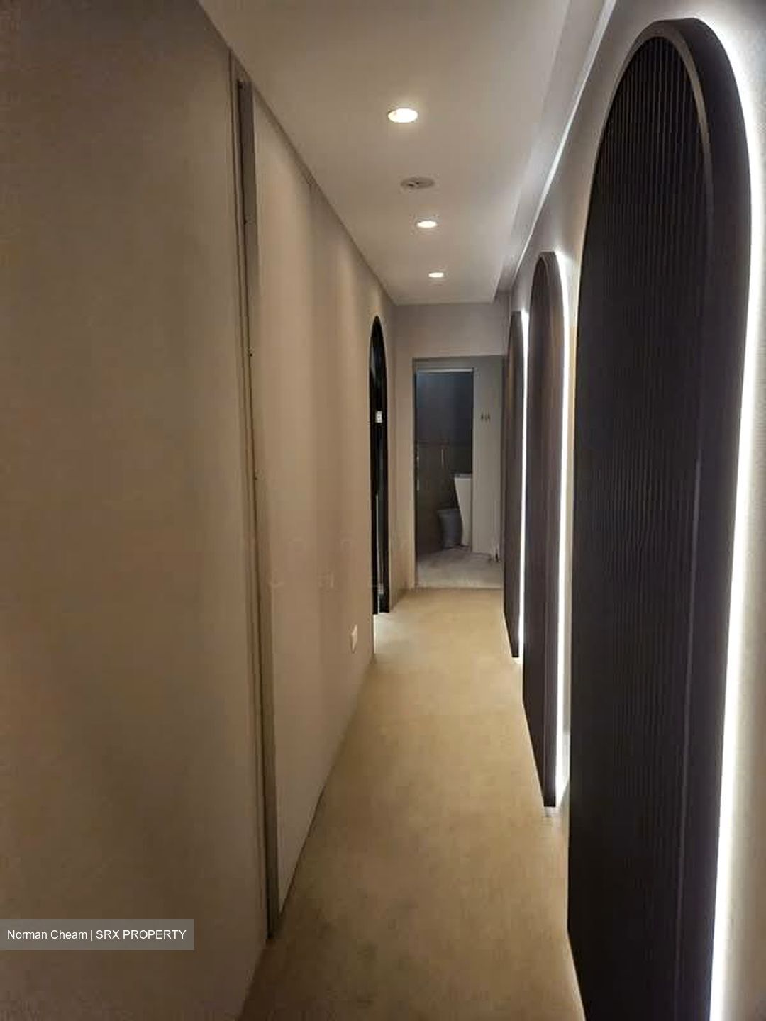 Telok Ayer Conservation Area (D1), Shop House #577060091